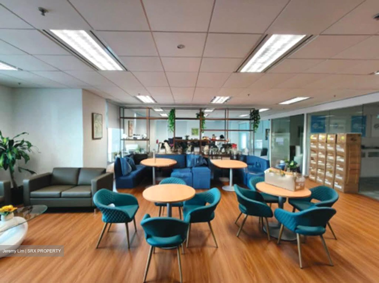 Bugis Junction (D7), Office #554261451